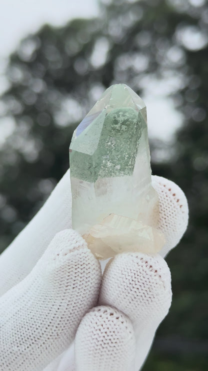 Himalayan Green Phantom